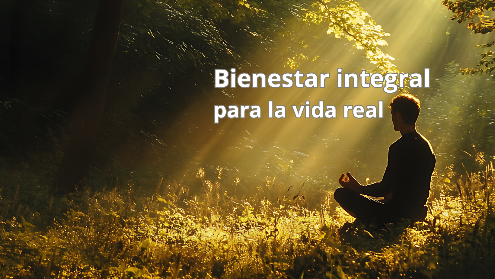 Alma & vida - Bienestar Integral