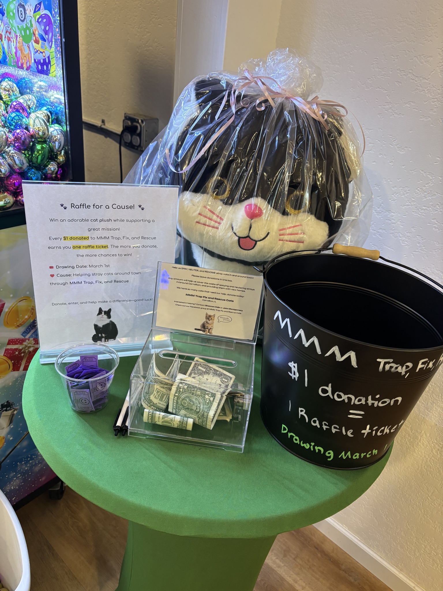 MMM Trap Fix and Rescue Cats - Stuffed Cat Raffle