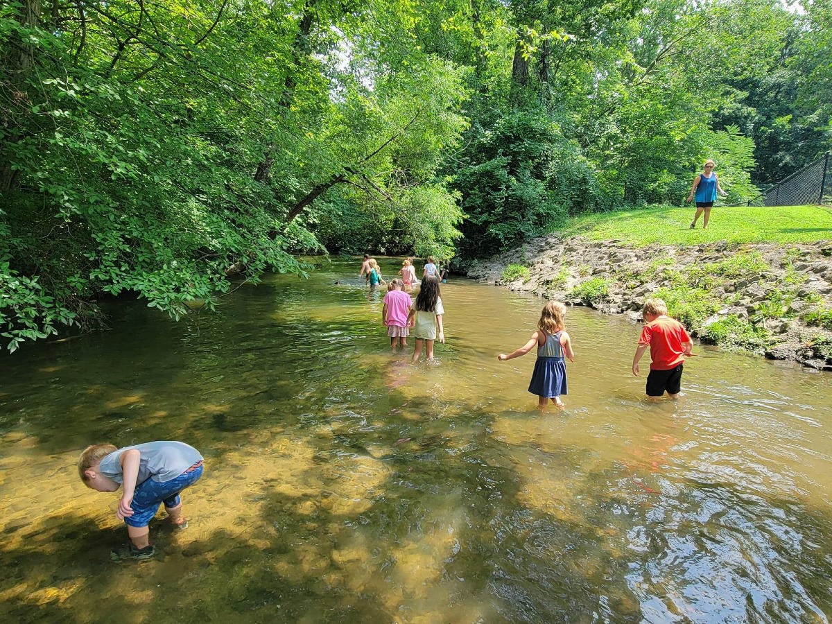 Village Roots Collective | Greenwood IN