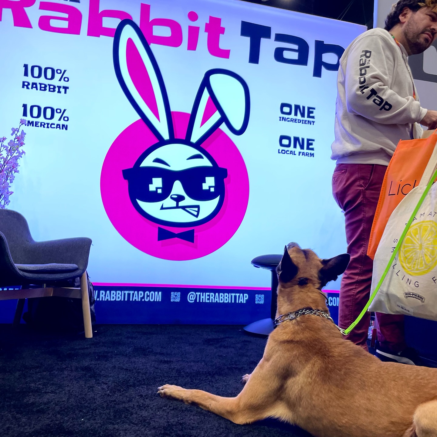 The Rabbit Tap | Norcross GA