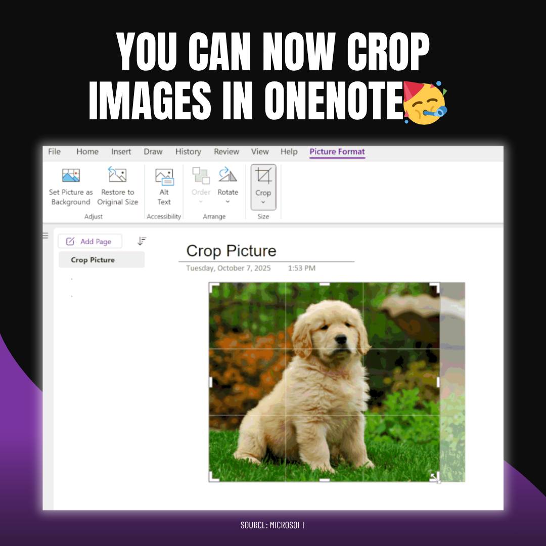 dataplanet - If you use OneNote on Windows, you're probably familiar ...