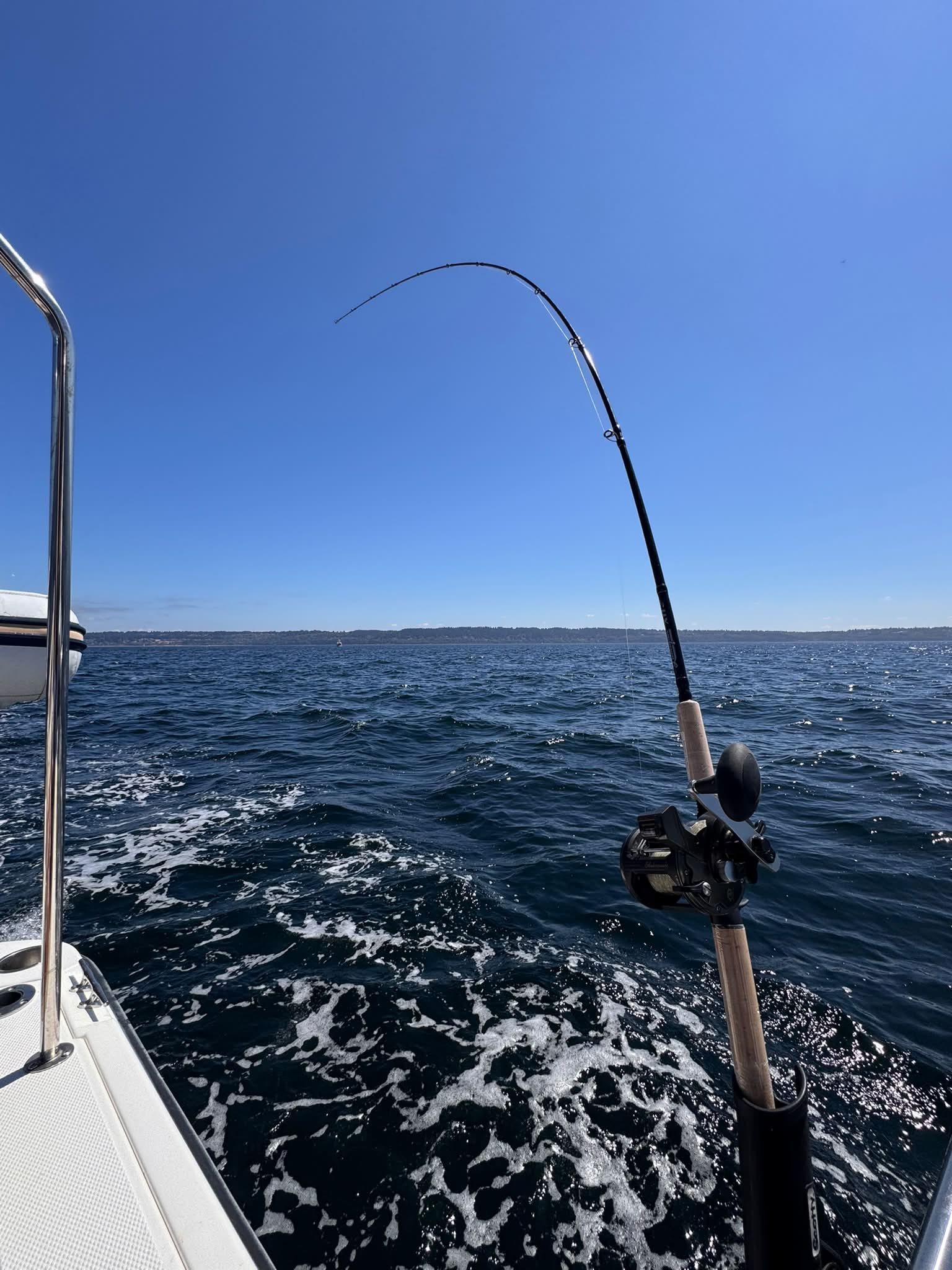 moulinet shimano stella sw 6000 hg SWC 6000HG Spin Reel – Compleat Angler Australia Style:Sublimation 20oz Tapered Conquer the impossible. Jig Fishing Of The Emerald
