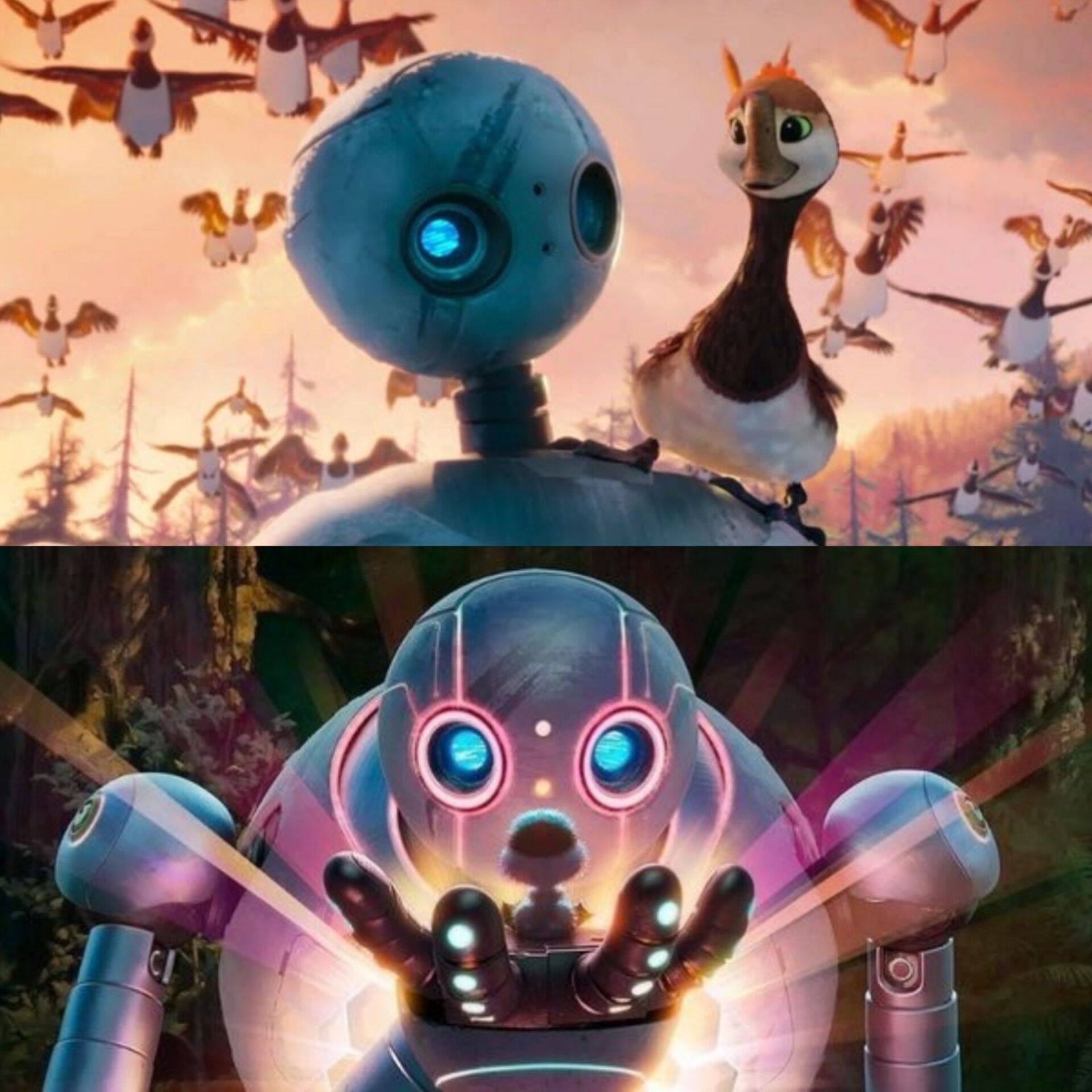 The Wild Robot 2 movie release