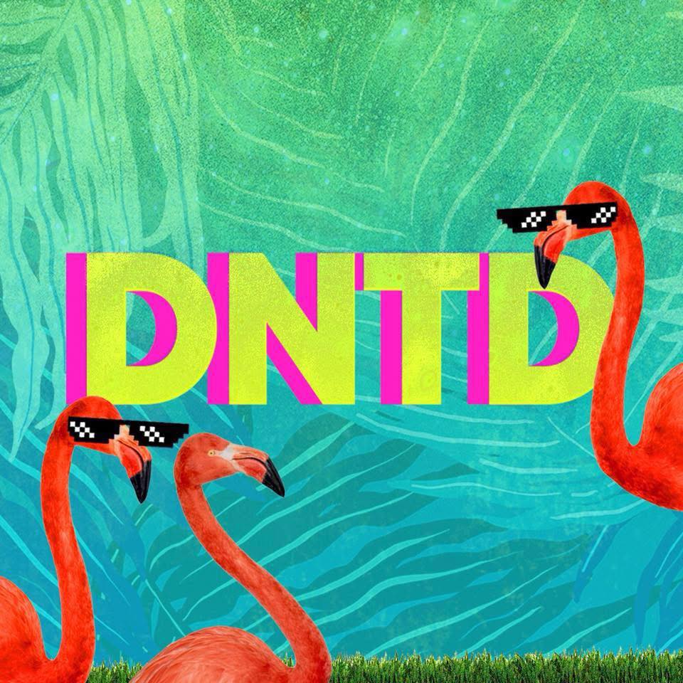 DNTD | Miami FL