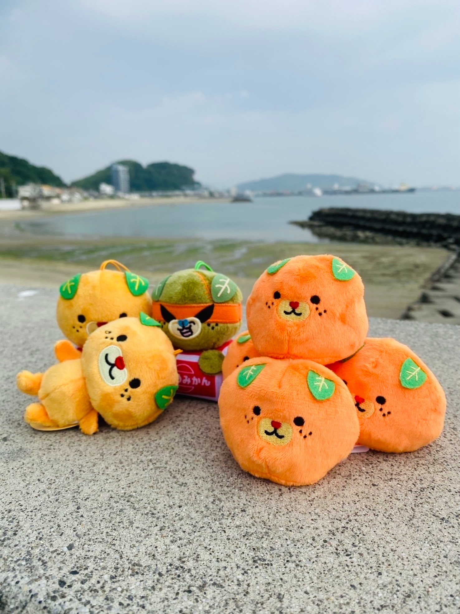 みきゃんパーク札幌 | Sapporo-shi Hokkaido