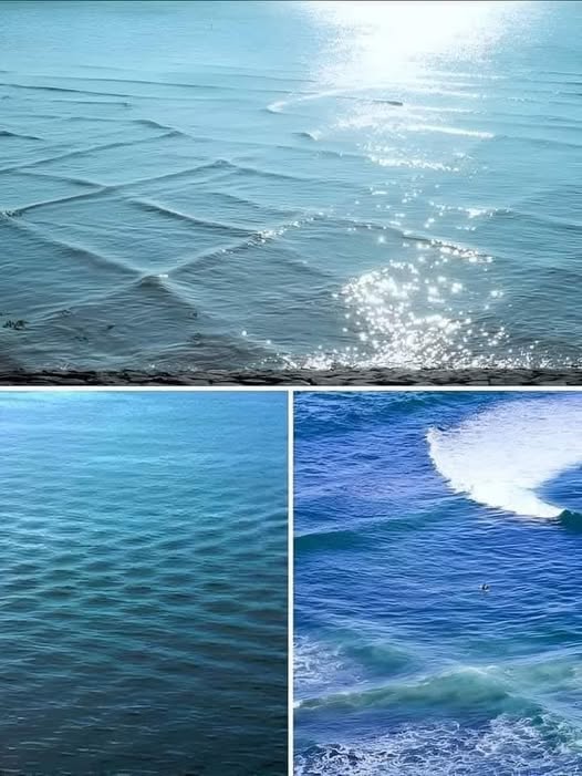 Home Tips & Tricks🧤🪴 | 🌊 as Square waves are a dangerous maritime ...