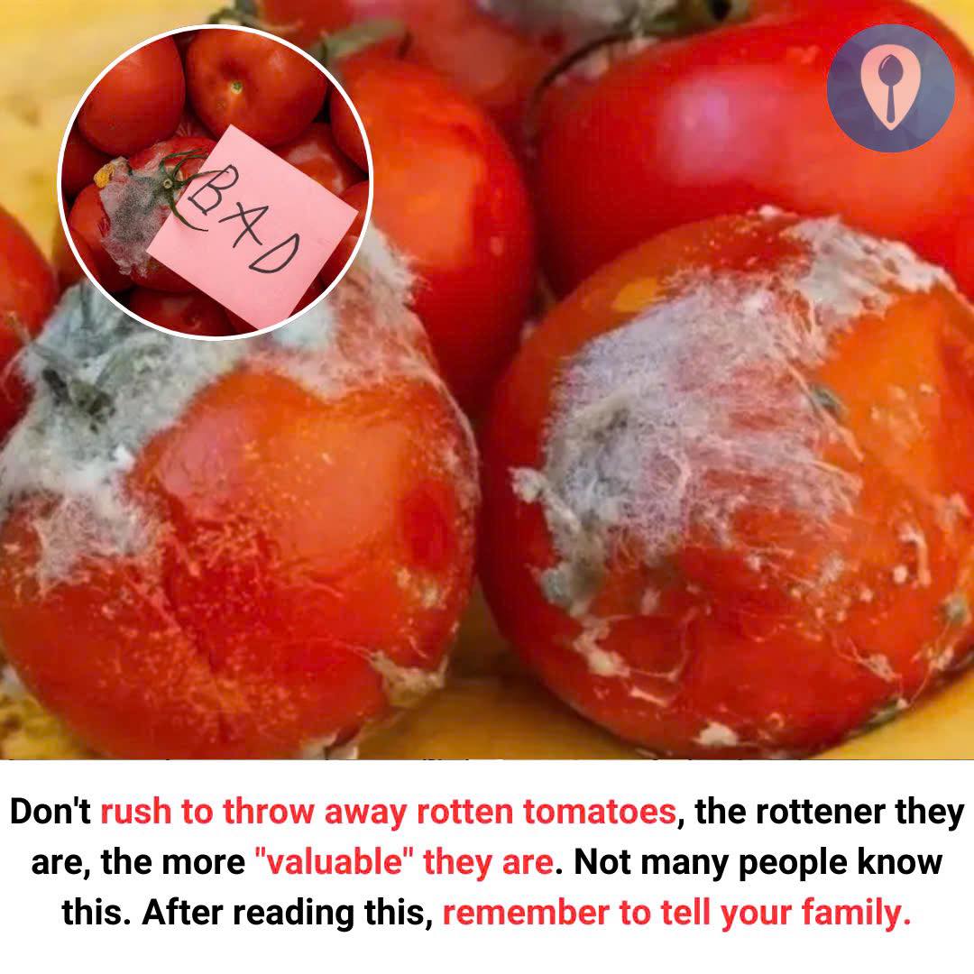 Likenow - Don't rush to throw away rotten tomatoes, the rottener they ...