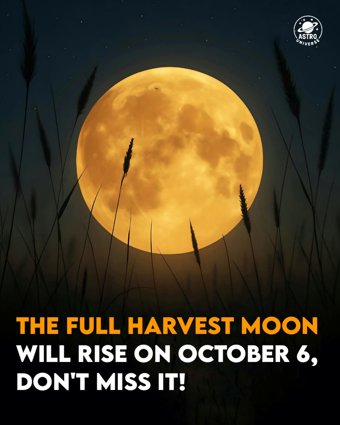 Astro - The First Supermoon of 2025: The Harvest Moon Rises Beside ...