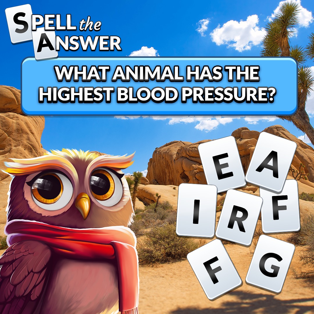 Wordscapes - How long did it take you to figure it out? 🧠🔤 To be frank ...