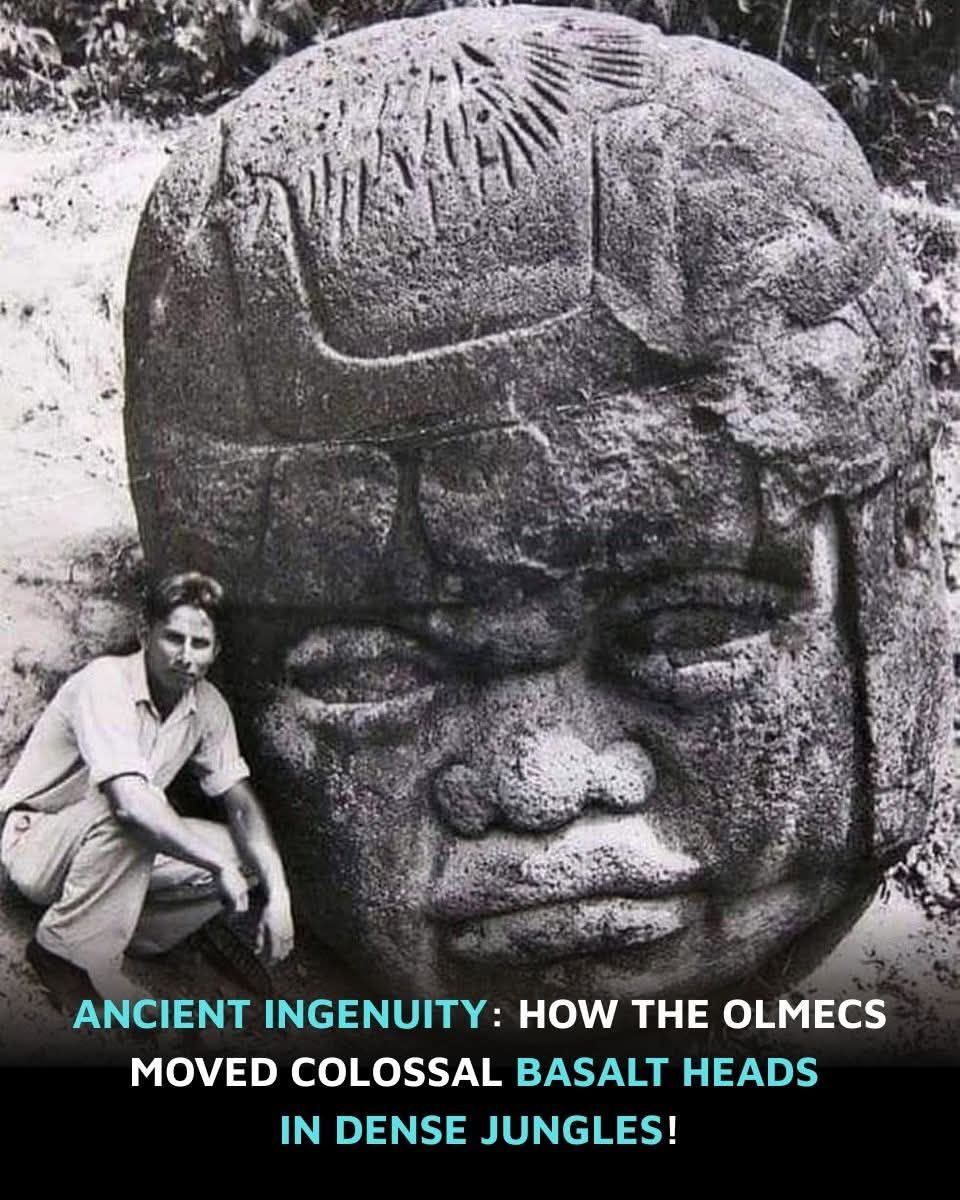 Ancient History Explore | How did an ancient civilization manage to ...