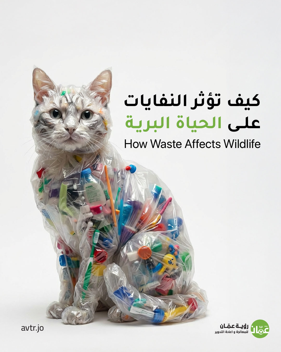 Amman - النفايات لا تضر البيئة فحسب، بل تهدد الحياة البرية أيضًا ...