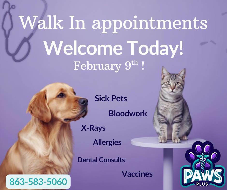 Paws Plus Veterinary