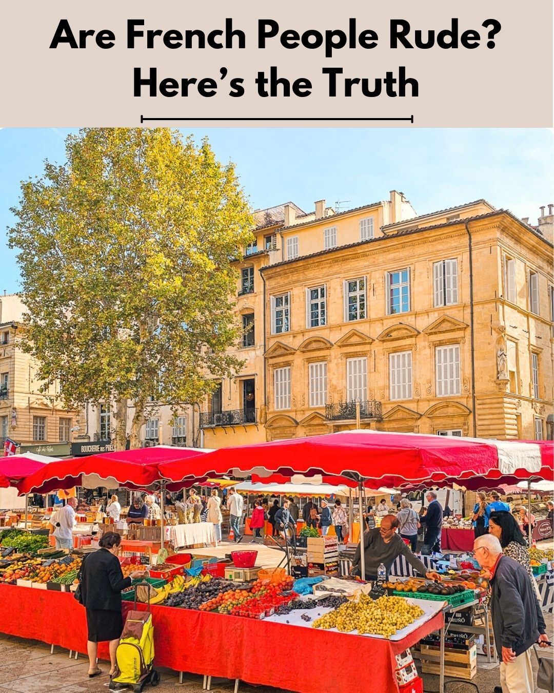 The “rude French” phrase gets thrown... - France Adventurer | Facebook