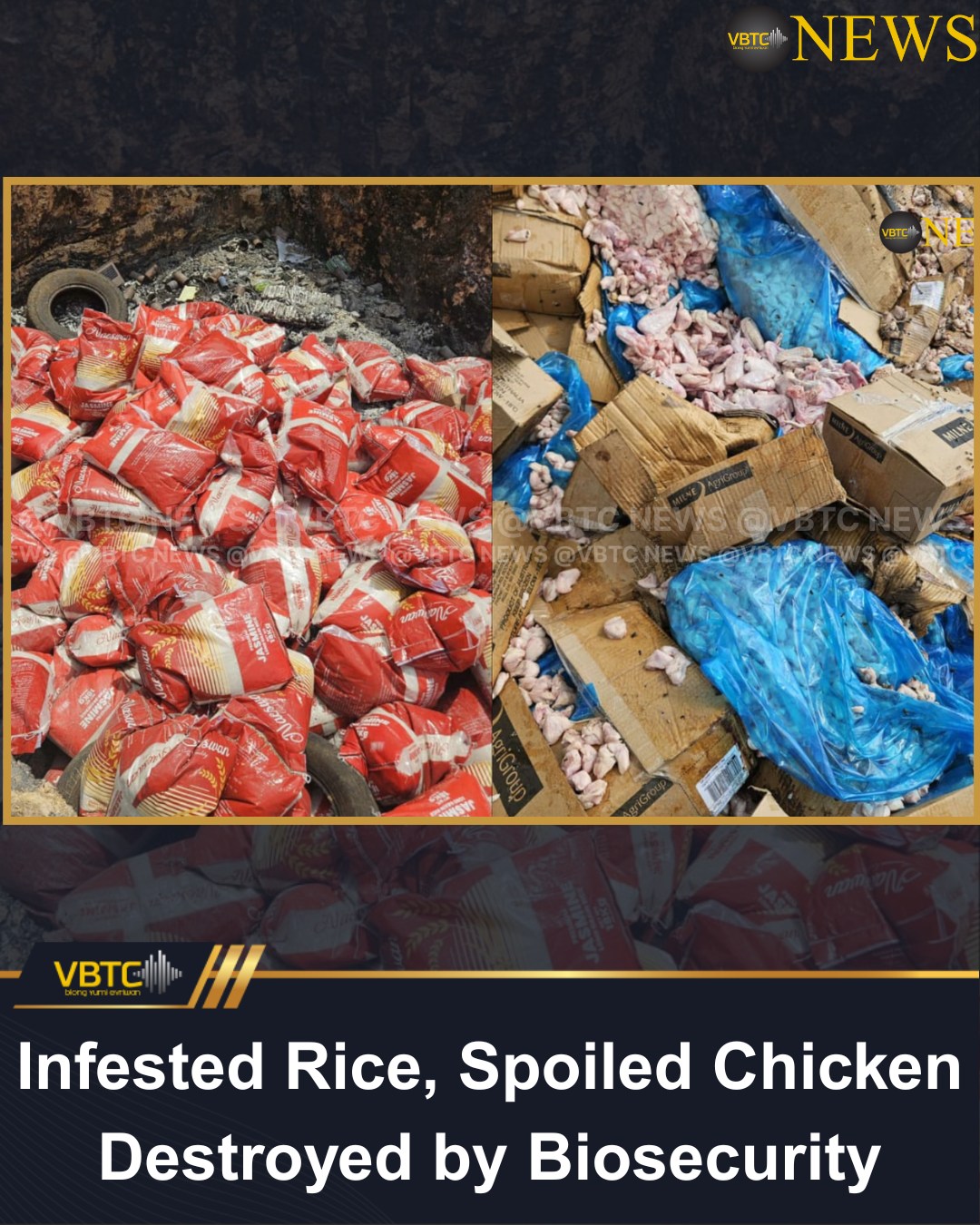 VBTC - Biosecurity Vanuatu has destroyed over 5,500kg of rice imported ...