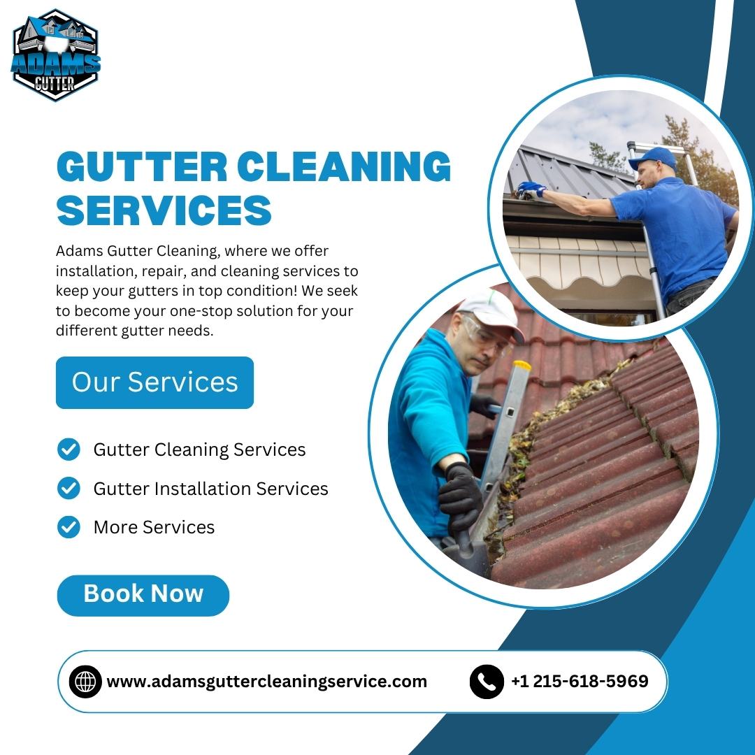 Curated visual reference: Adams Gutter Cleaning Photo Inspiration