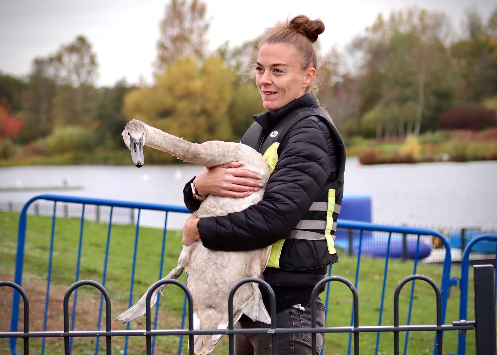 MK Swan Rescue CIC added a new photo. - MK Swan Rescue CIC