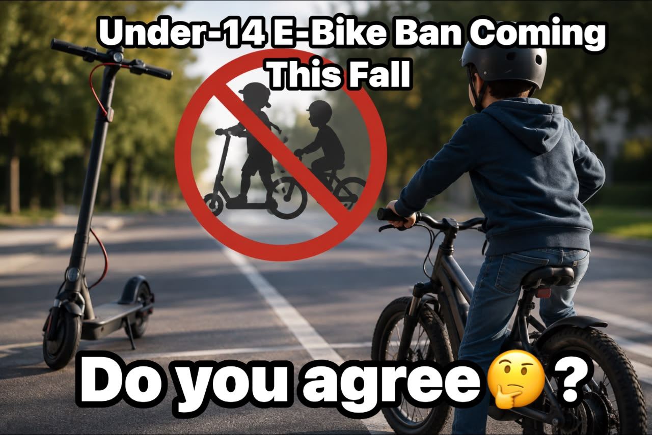 folding electric fat tire bike bicycle HOVSCO HovBeta 20