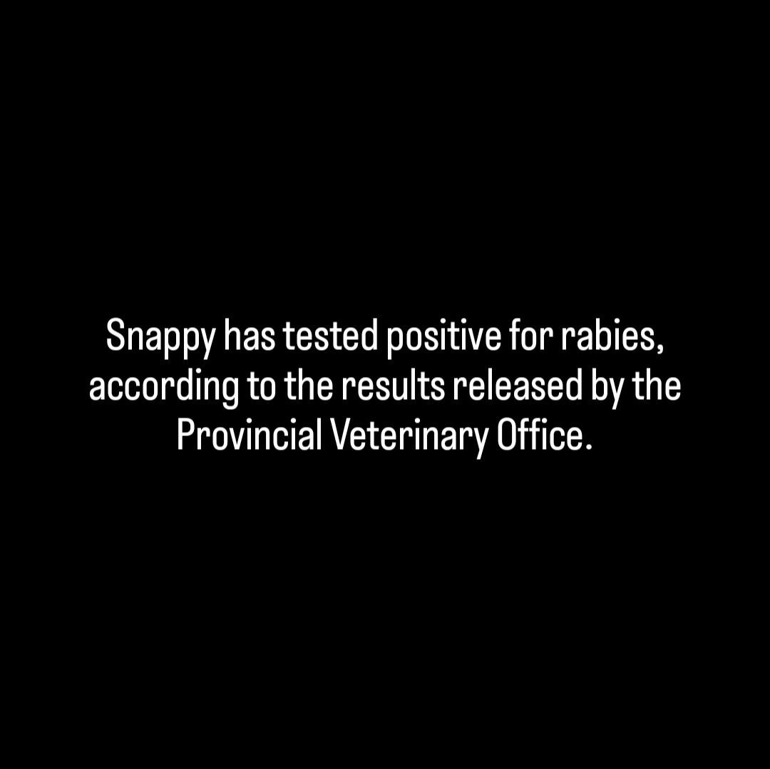 Bataan - Official Update About Snappy We are deeply saddened to confirm ...