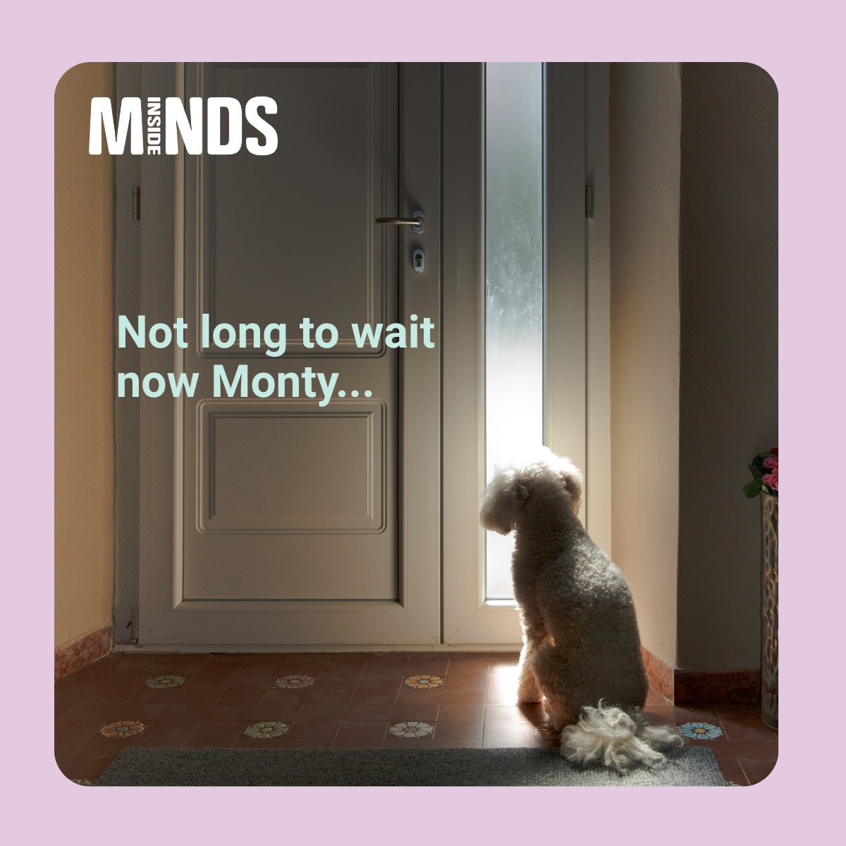 InsideMinds - You only hear a consult once, when you’re in it. But when ...