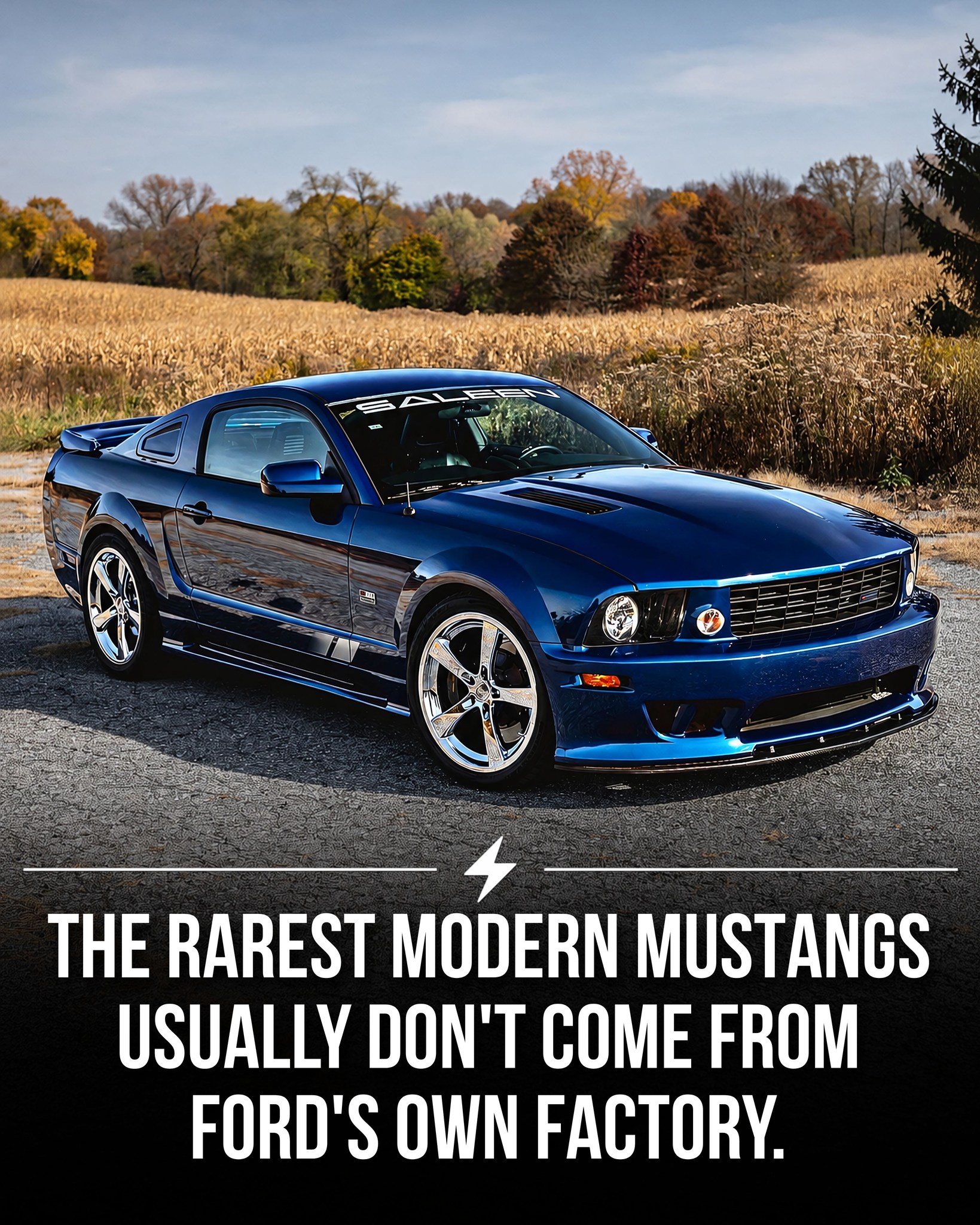 By 2007, Saleen had stopped borrowing engines entirely. Where