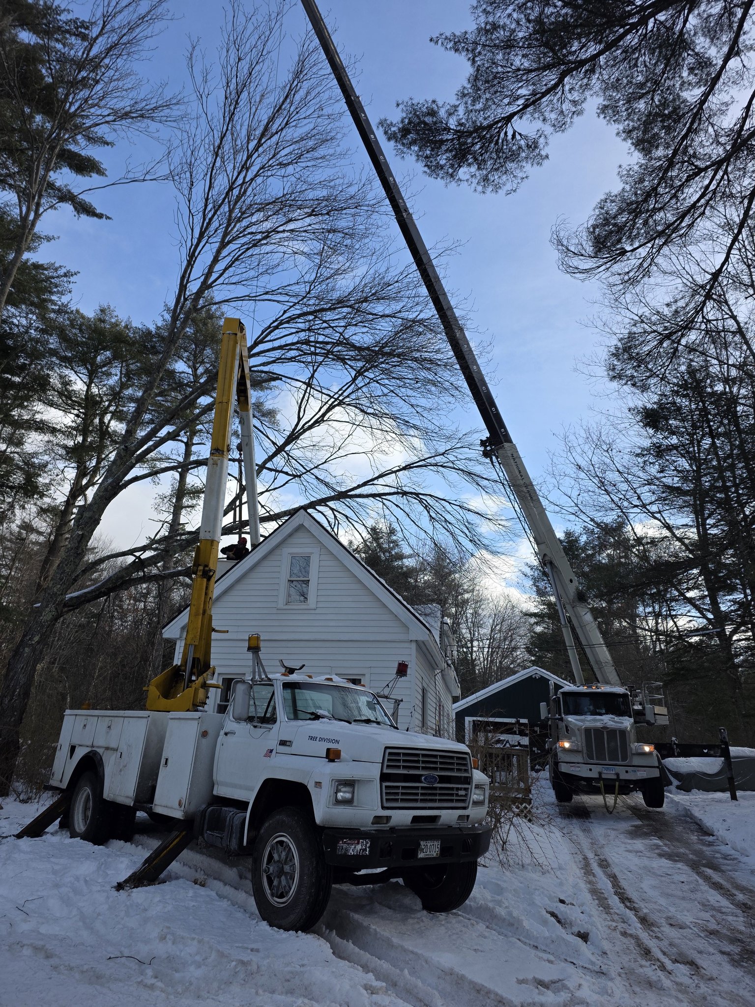 Gentilini Tree Service