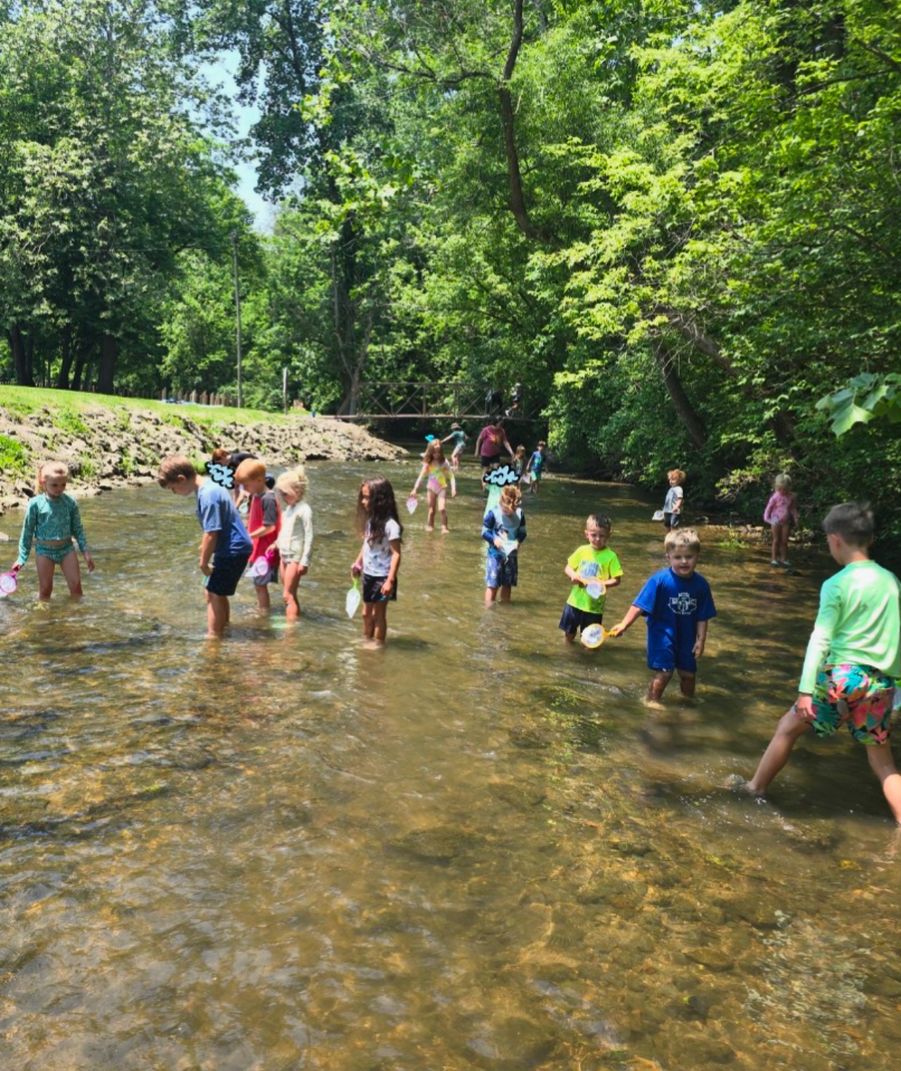 Village Roots Collective | Greenwood IN
