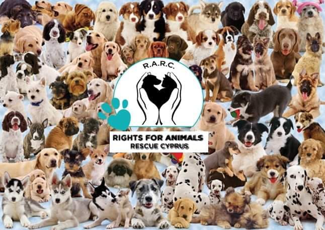 RIGHTS FOR ANIMALS RESCUE CYPRUS (R.A.R.C.) | Facebook
