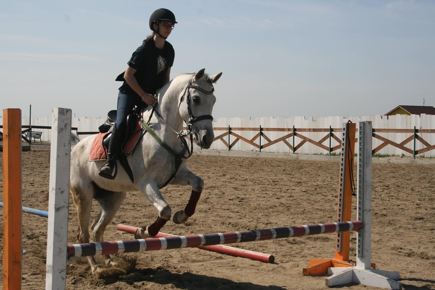 Equitopia Ranch | Bragadiru