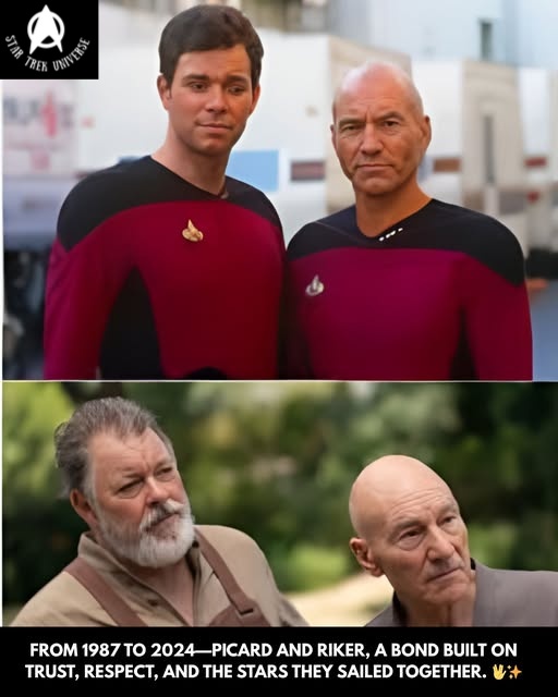 Cinema - Picard and Riker, 1987–2024 – A Timeless Starfleet Bond From ...