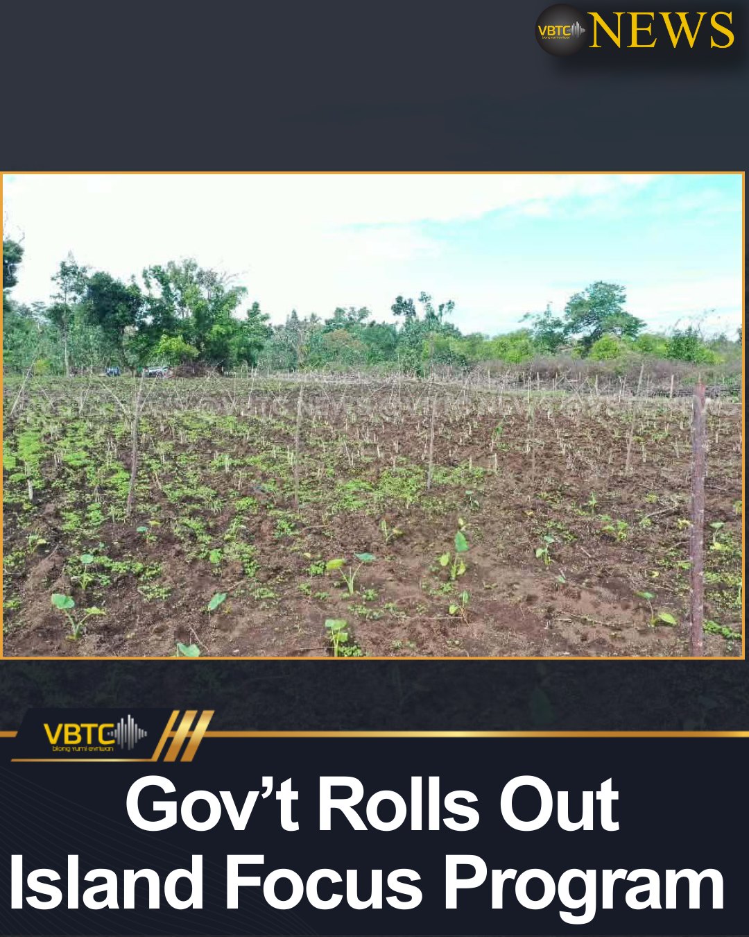 VBTC - The Government will begin implementing the “Island Focus Program ...
