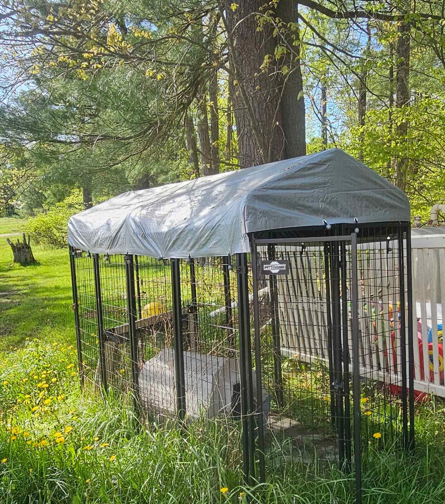 Elmira area Only rummage sales | Outdoor dog kennel/run 8ft long × 46in ...