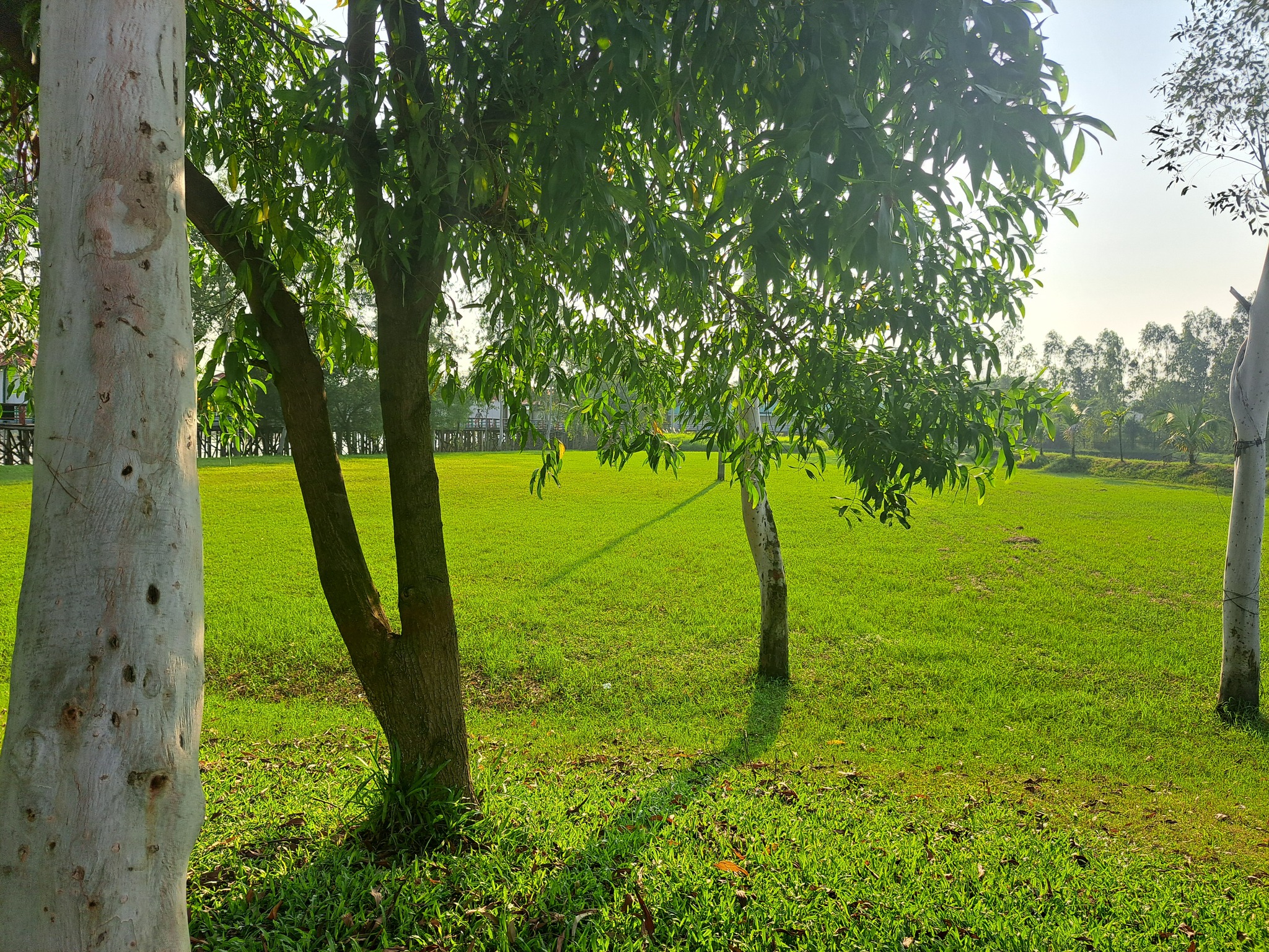 Turag River View Resort | Gazipur