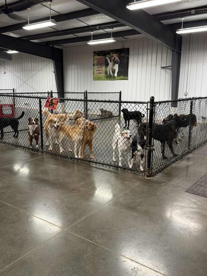 Ruff-Inn-It - Ruff-Inn-It added a new photo.