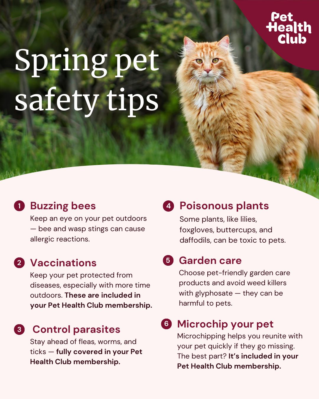 Dr.Doolittles Cardiff - Today is (finally) the first day of Spring ...