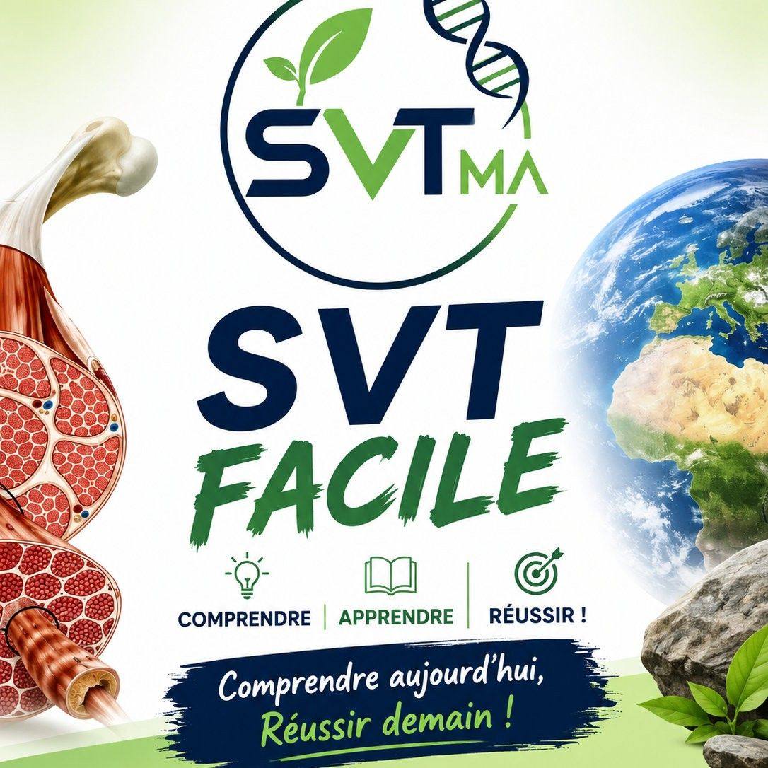 Structure du muscle strié squelettique : comprendre pour maîtriser le ...