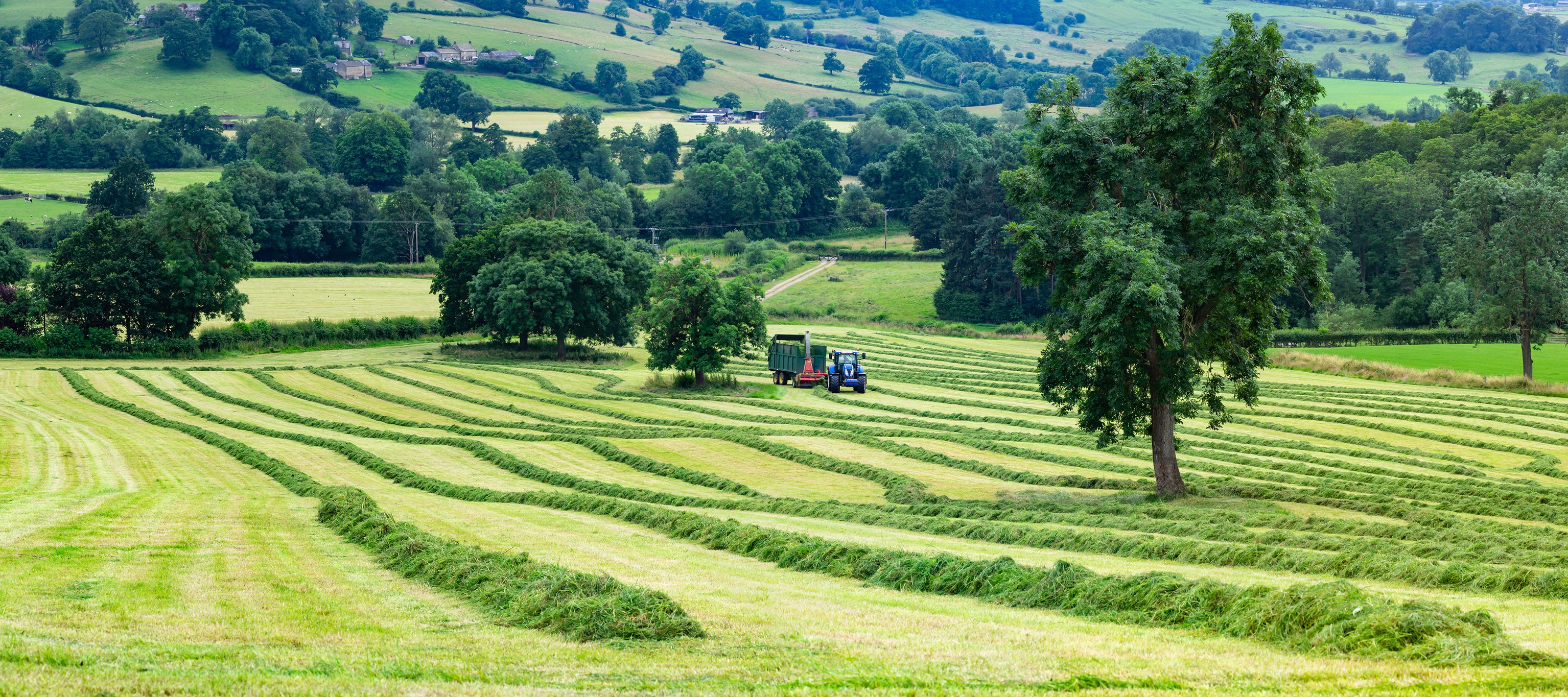 Mole Valley Farmers - Agri
