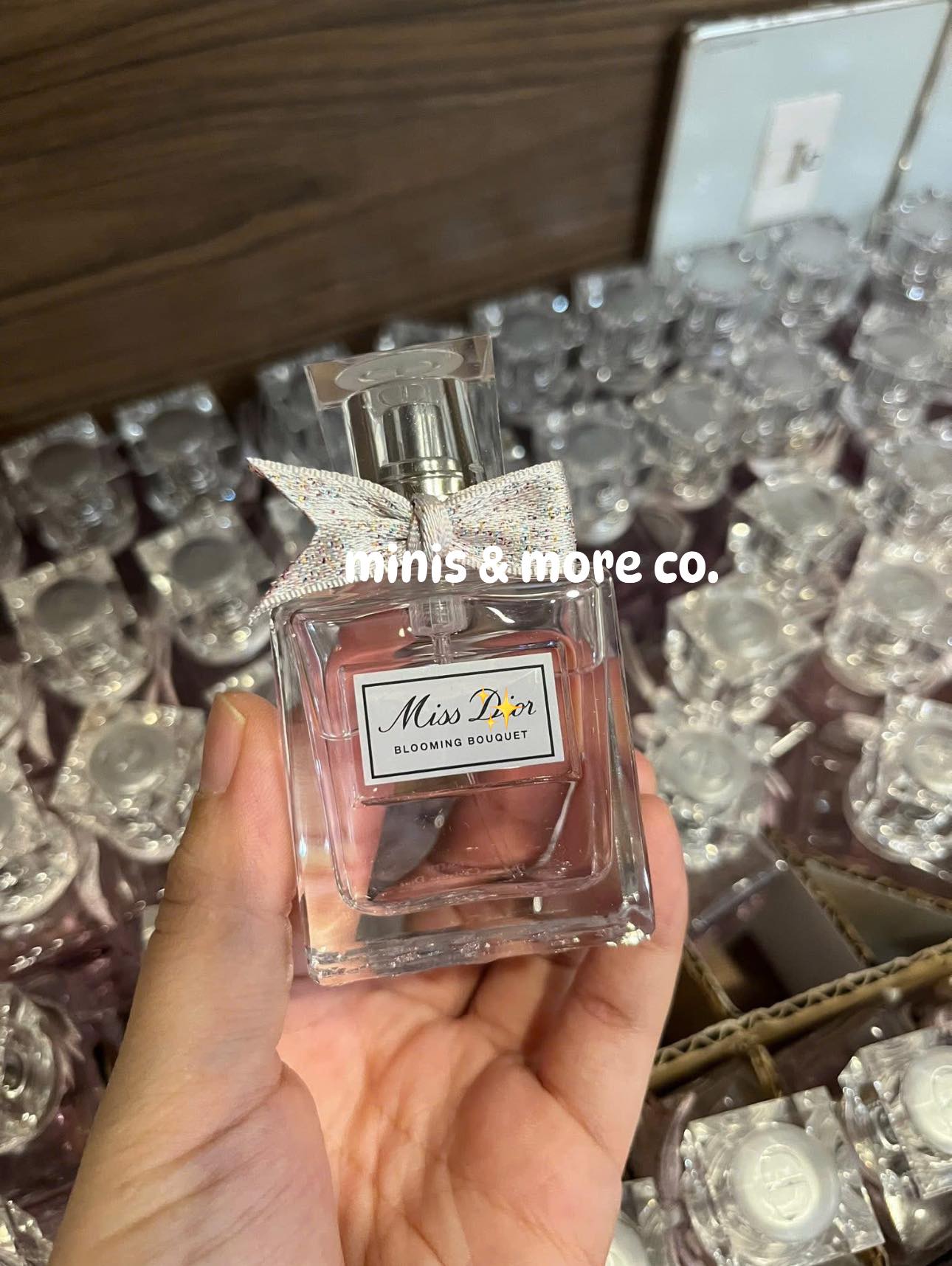 MINIS & MORE CO.