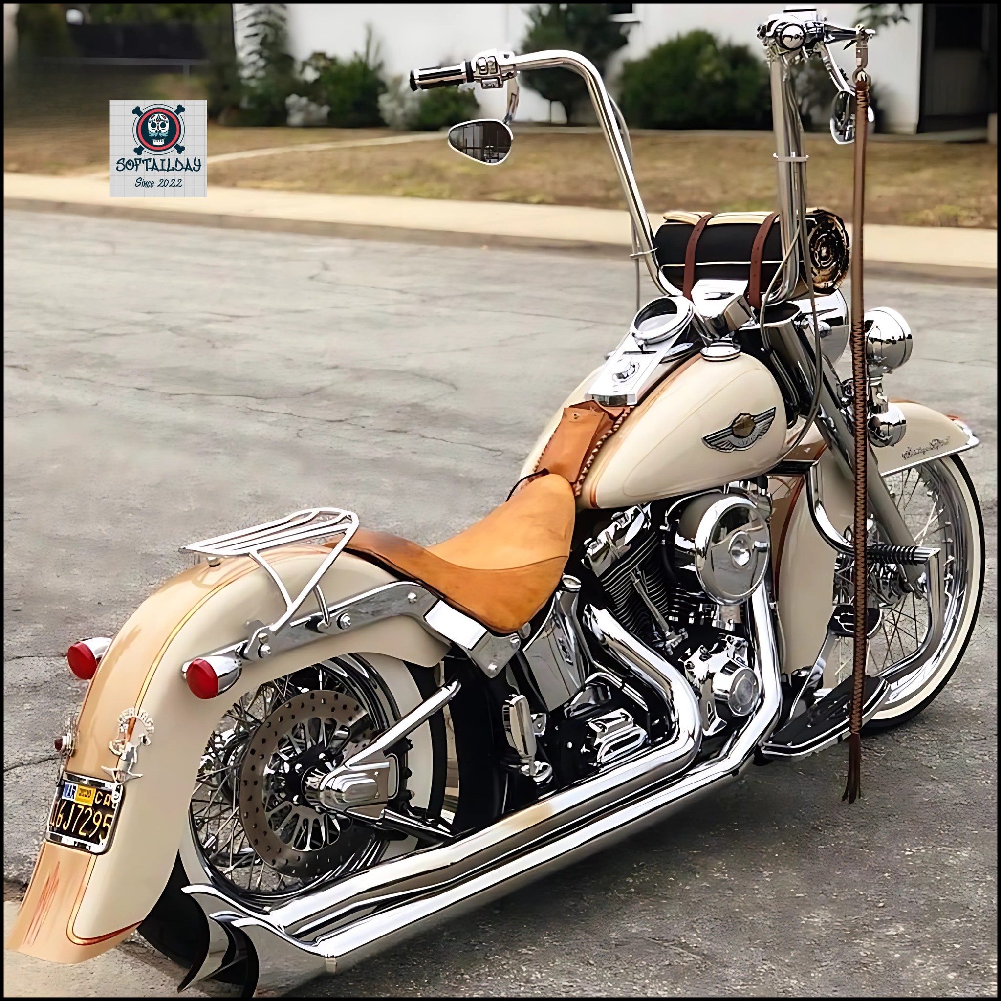 Softail Day - Rate this custom build 1-10! 👇 What’s your... | Facebook