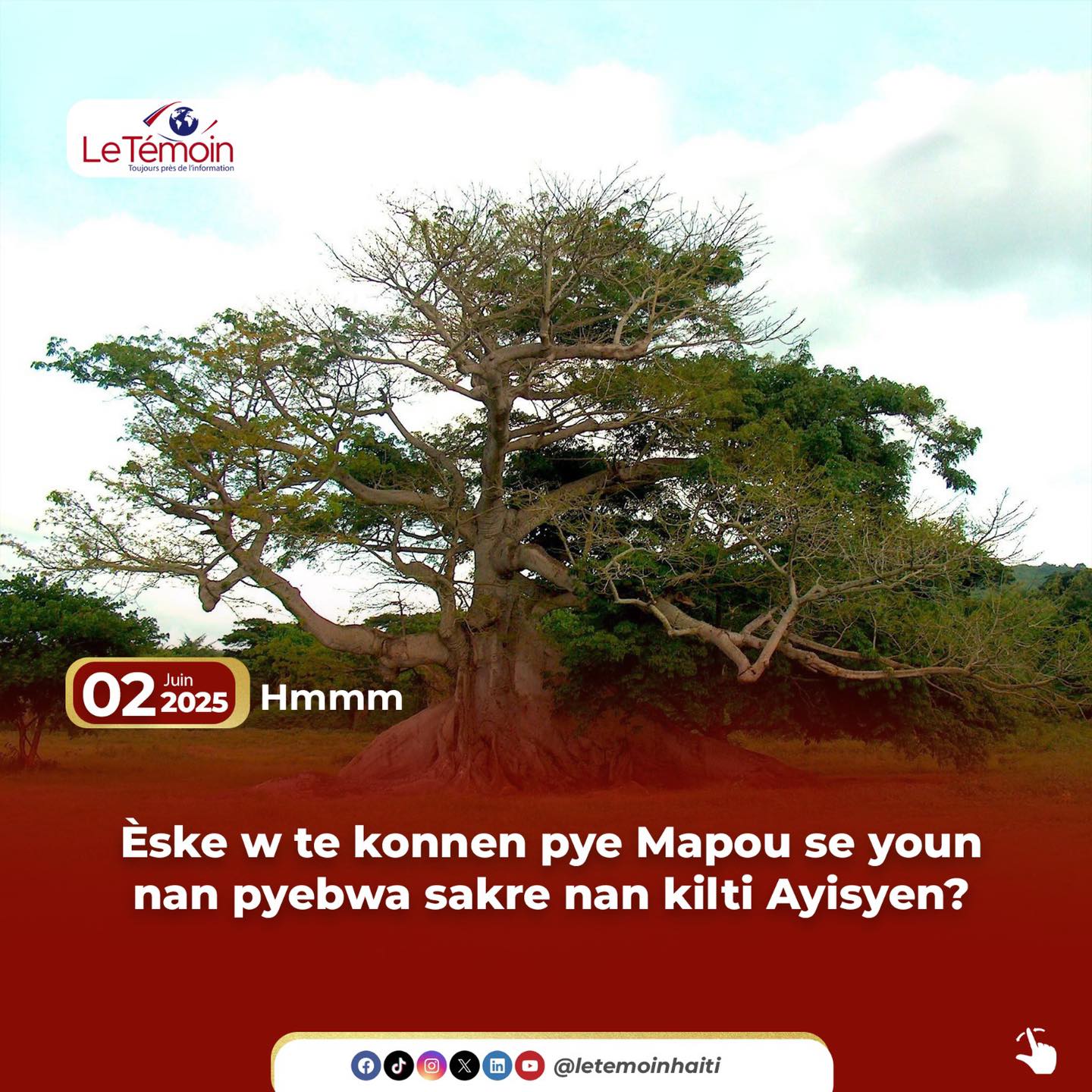 Radio - Hmmm Èske w te konnen pye Mapou se youn nan pyebwa sakre nan ...