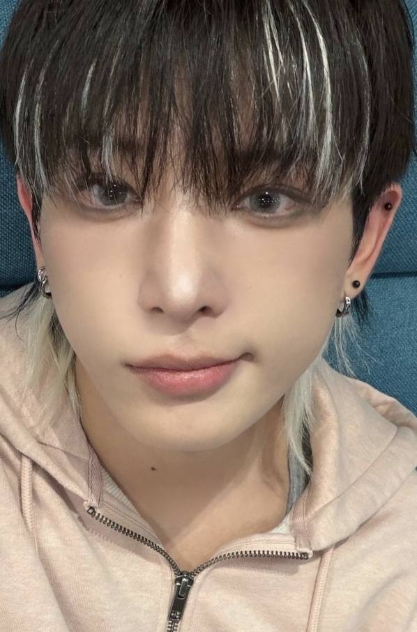 Harua Weverse update and first broadcast
