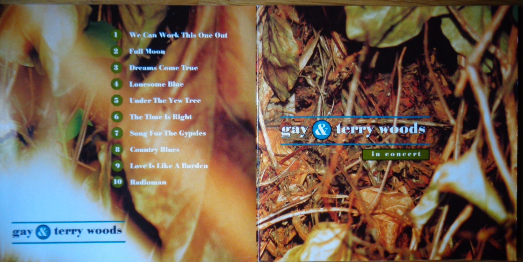 Gay and Terry Woods album on Polydor Records