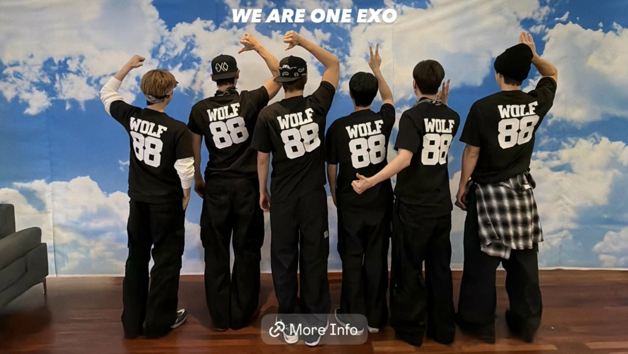 EXO  WOLF 88  缶バッチ EXO in WOLF 88 shirt 🖤 weareone.exo ig story
