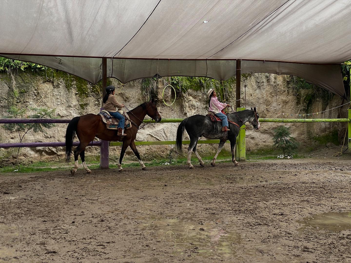 Equitopia Equinoterapia