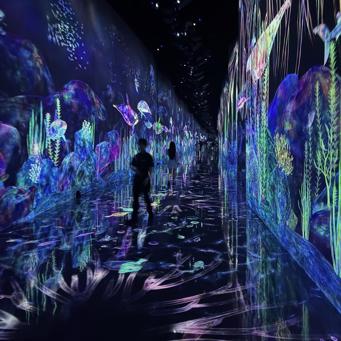 teamLab - Reposted from @_domygram_ Thank you for visiting teamLab ...