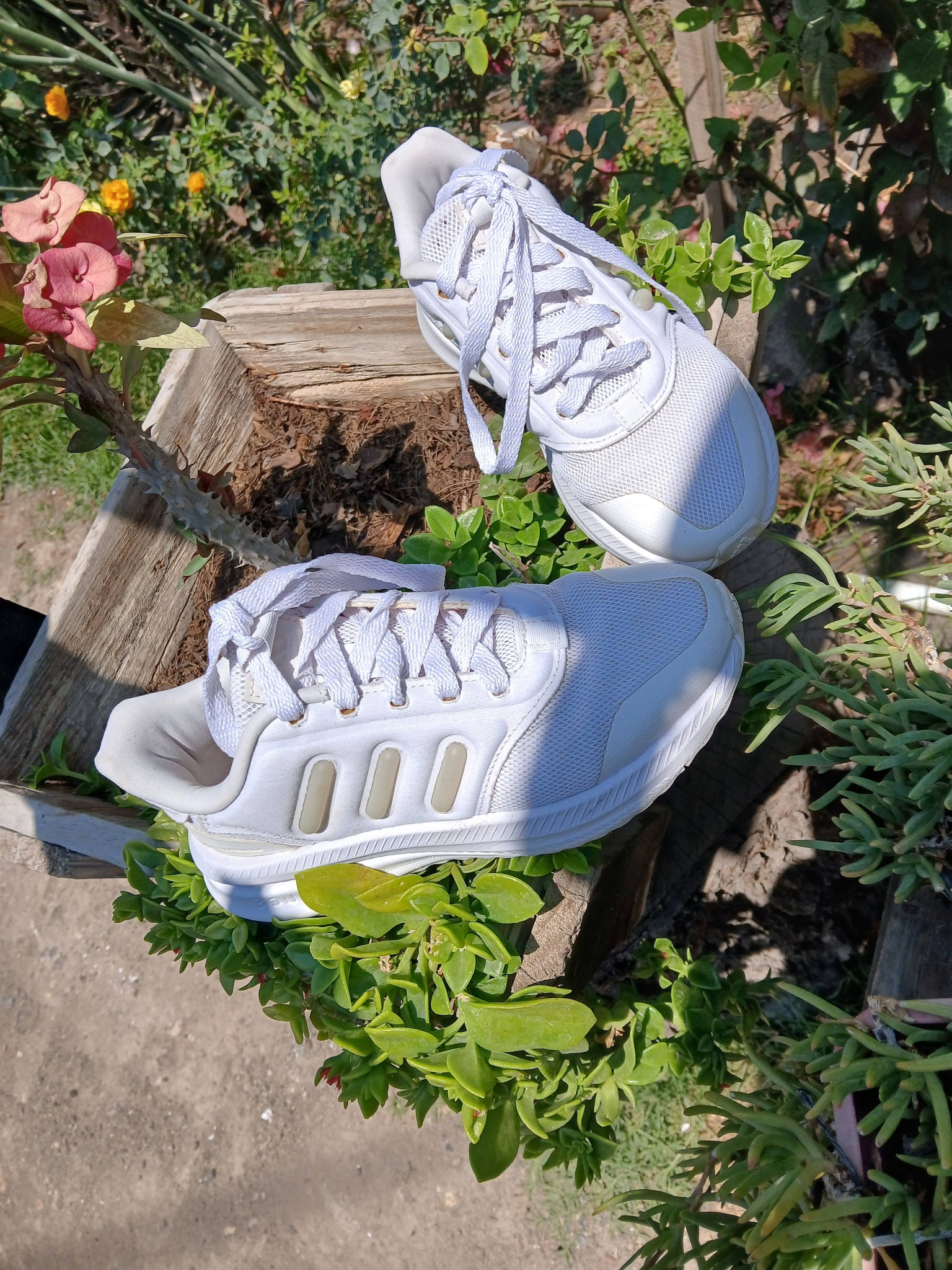 Tenis Adidas talla # 4 en excelentes condiciones ningún detalle