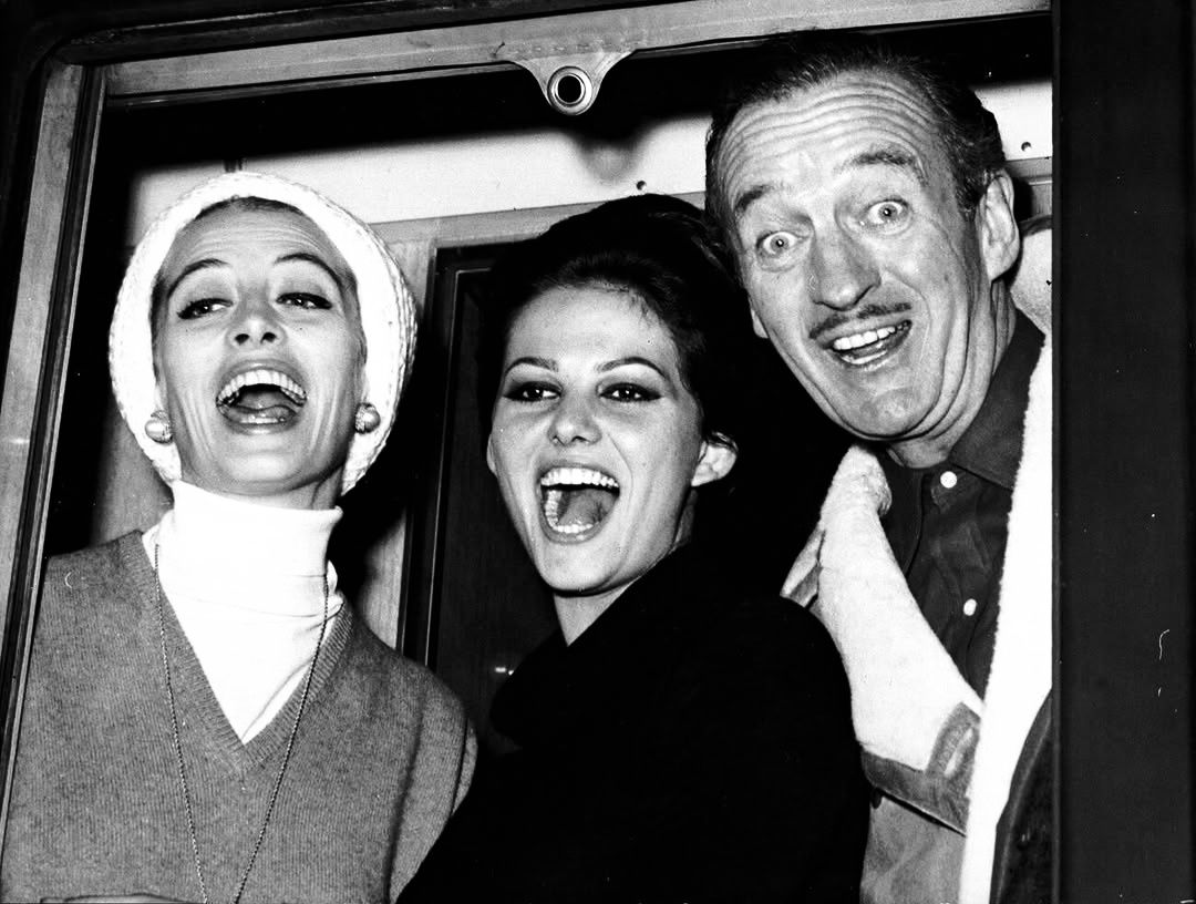Wild - In 1963, the glamorous Capucine, Claudia Cardinale, and David ...