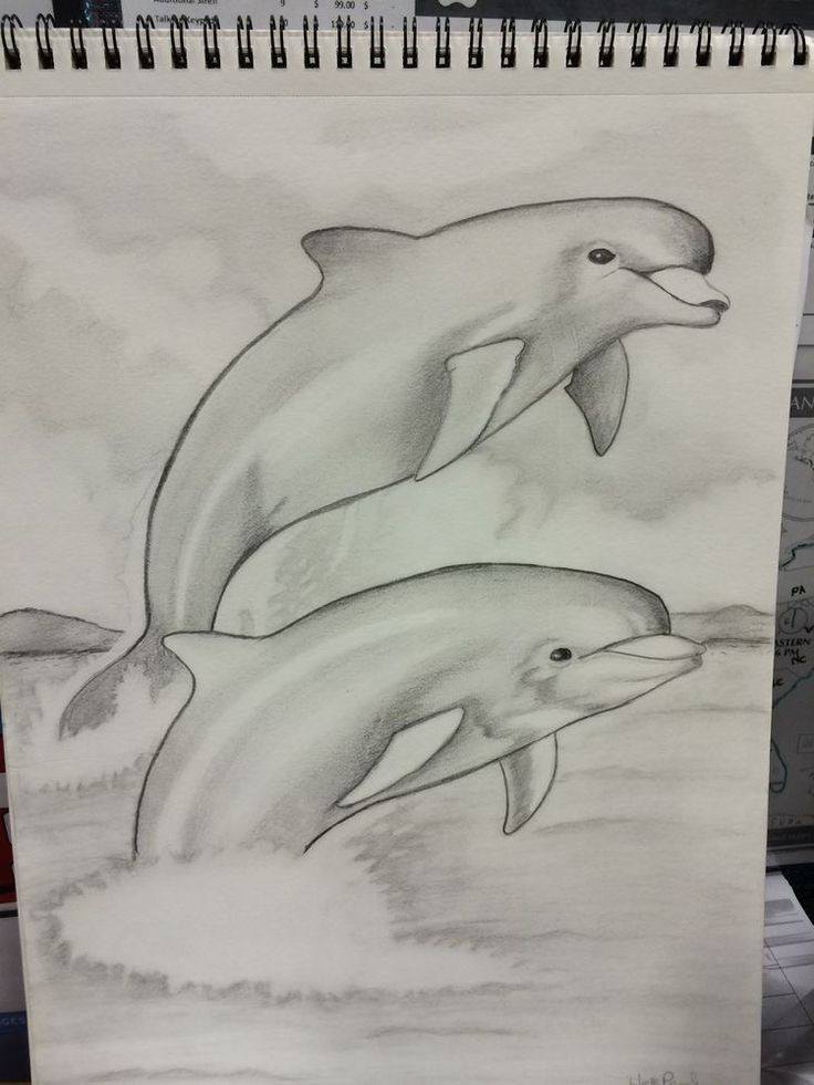 Dibujos de animales realistas... - El Rincón del Dibujo | Facebook