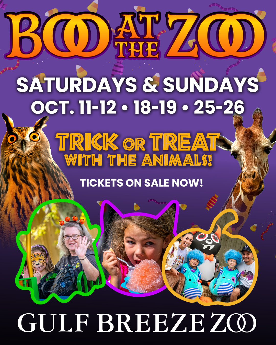 Gulf - The wait is almost over—Boo at the Zoo kicks off this Saturday ...