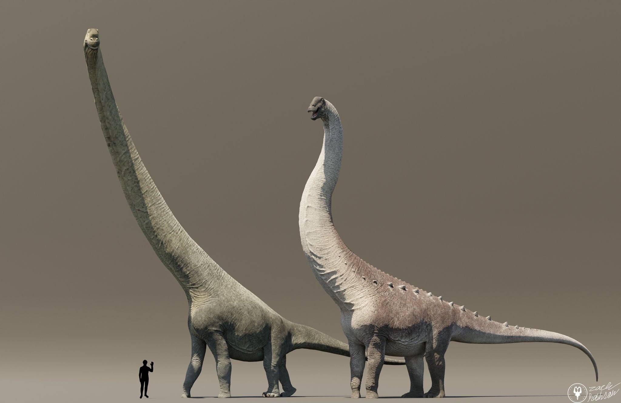 bracheosaurus in a fisher's net 2005 Brachiosaurus: First Look (Read about Dinosaurs (Read for a Better World )): 9781728491325: Ranch, Jeri: Books Brachiosaurus | King Kong Wiki
