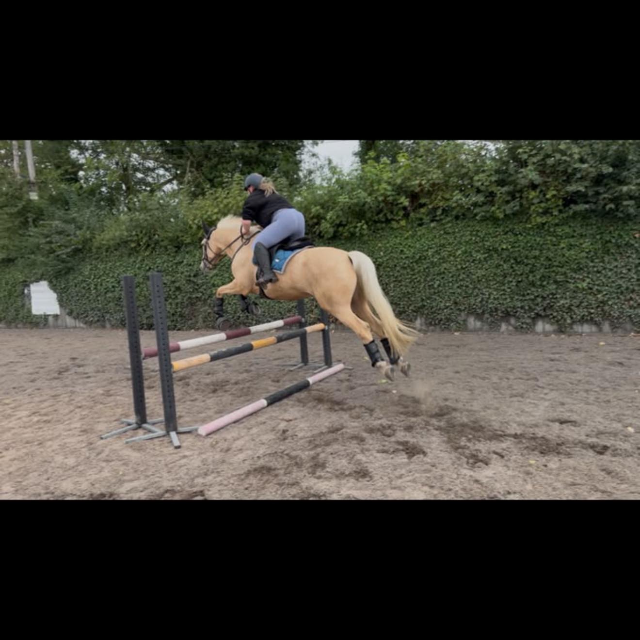 Droitwich spotted | UPDATE | Facebook